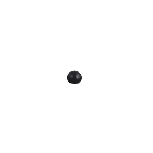Final Bola Negro